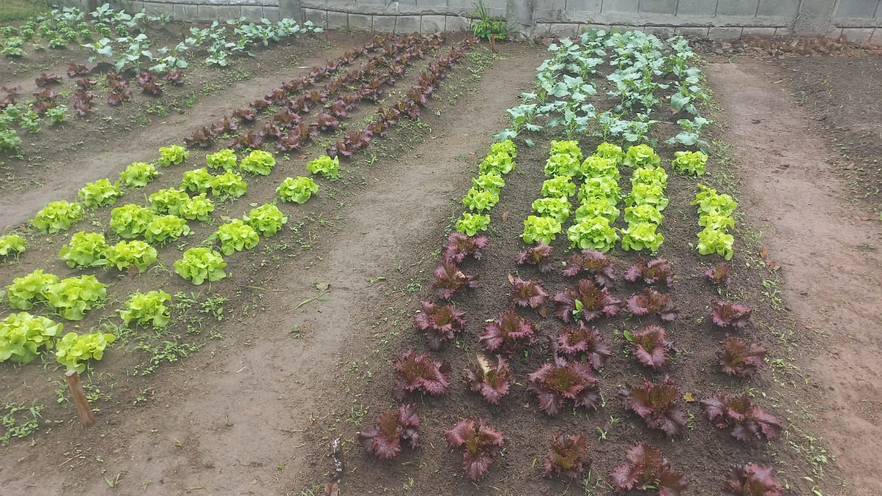 Foto 5 da Unidade Nova Iguaçu